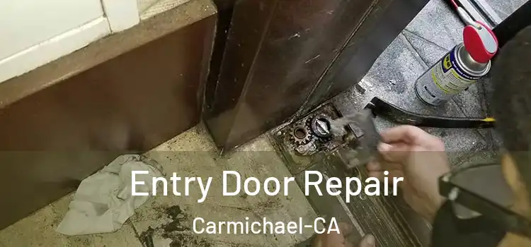  Entry Door Repair Carmichael-CA