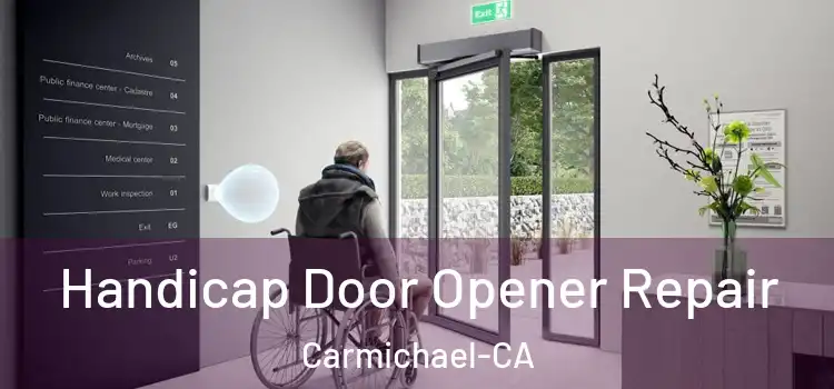  Handicap Door Opener Repair Carmichael-CA